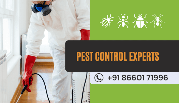 Best Pest Control in Bangalore - We Care Pest Solutions